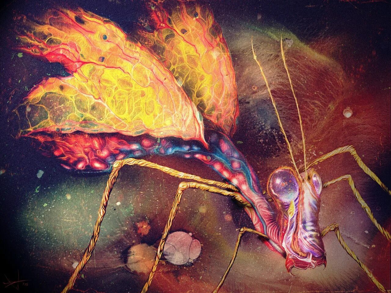 фанфик мотылек