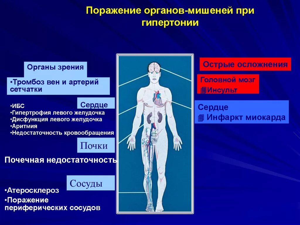 Органы мишени артериальной гипертонии. Поражение органов при артериальной гипертензии. Артериальная гипертензия поражение органов мишеней. Поражение органов мишеней при гипертонии.