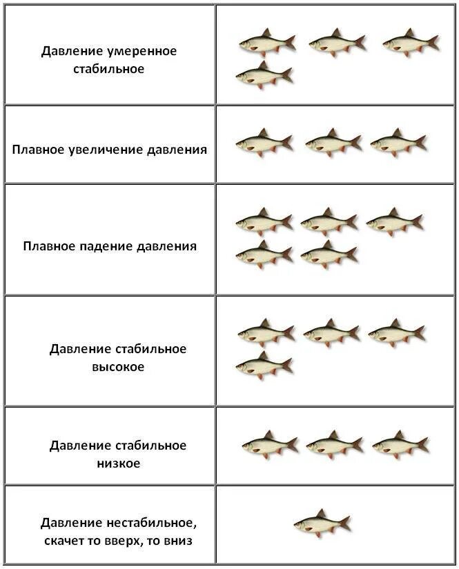 Таблица давления ловли рыбы зимой. Зависимость клева рыбы от атмосферного давления. Таблица атмосферного давления для ловли рыбы. Давление для ловли карася таблица.