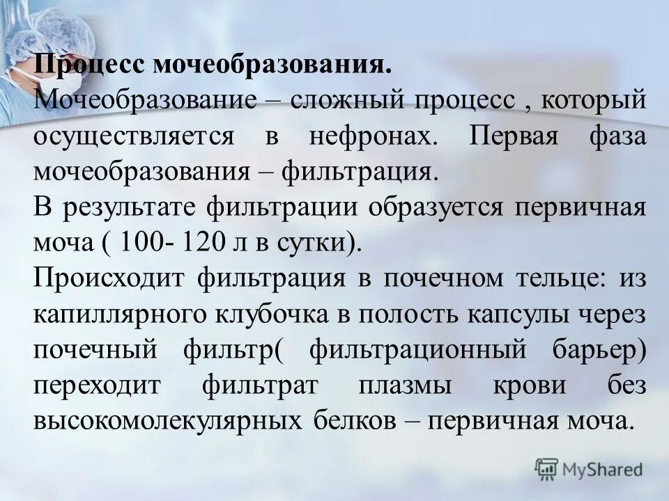 Процессы образования мочи: фильтрация, реабсорбция и секреция. Образование мочи. В результате фильтрации образуется моча. Механизм образования первичной мочи биохимия. 3.