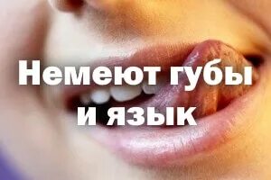 Немеет нижняя губа что это. Немеет нижняя губа что это. Немеет нижняя губа что это. Немеет нижняя губа что это. Немеют губы и кончик языка почему.