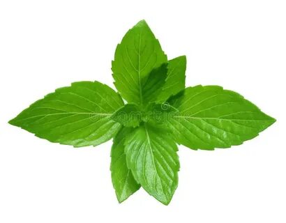 Pepper mint