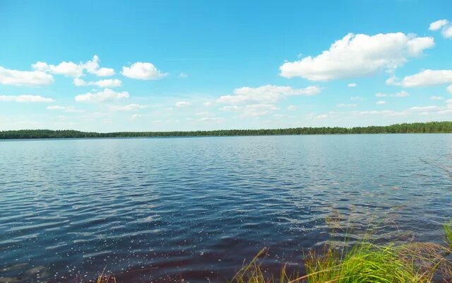 Скачальское озеро на карте. Скачальское озеро беларусь. Левковское озеро. Левки. Озеро левки.