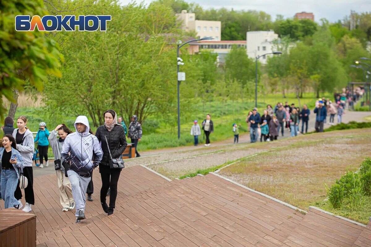 Первая миля ростов. Ростов-на-Дону парк первая миля парк первая миля. Экопарк первая миля Ростов на Дону. Парк. Парк около Ростова.