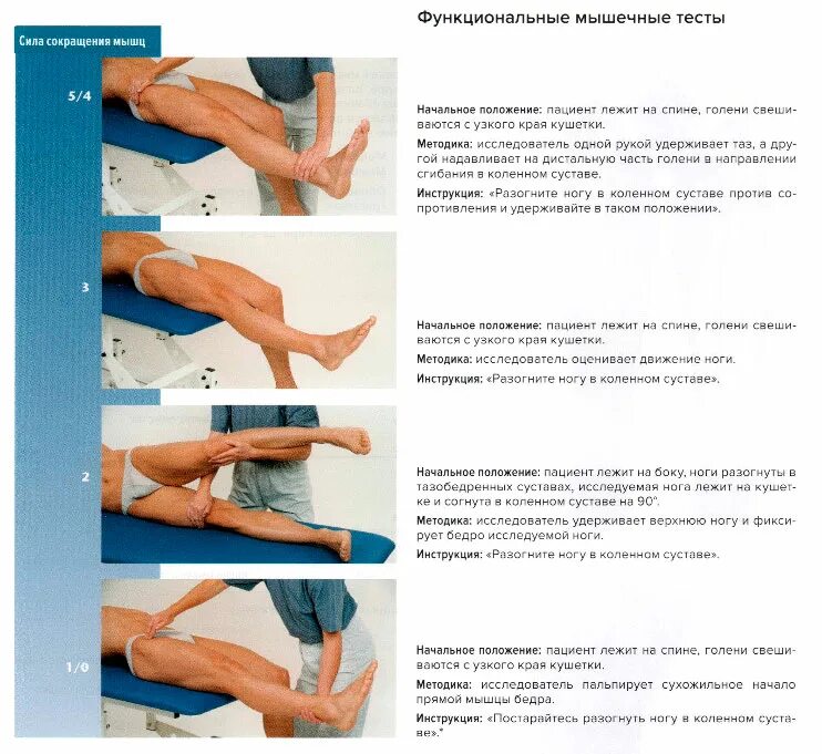 Ноги не выпрямляются в коленях. Разгибание ноги в коленном суставе. функциональные мышечные тесты. сгибание и разгибание коленного сустава. разгибание в тазобедренном суставе.