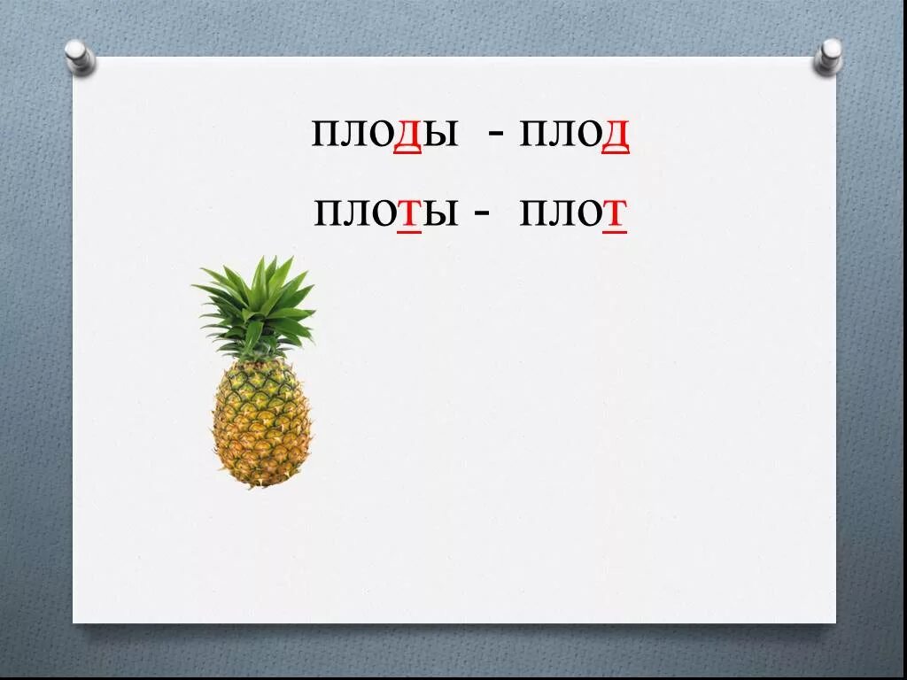 Плоды звуки и буквы. Плод и плот. Слова плод плот. Плоты плоды звуки. Звуковая схема плод плот.