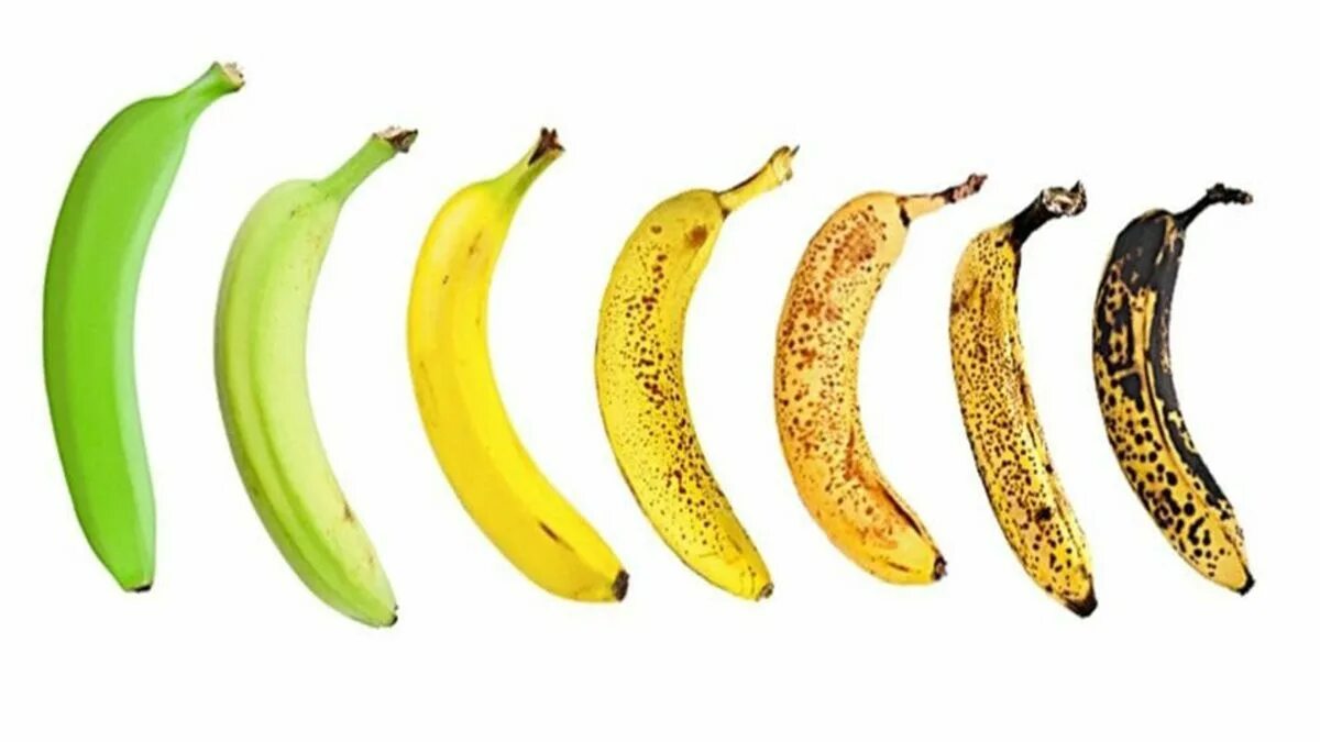 Банан хе. Банана. Стадии созревания банана. Бананы по цвету. Банан какой выбрать.