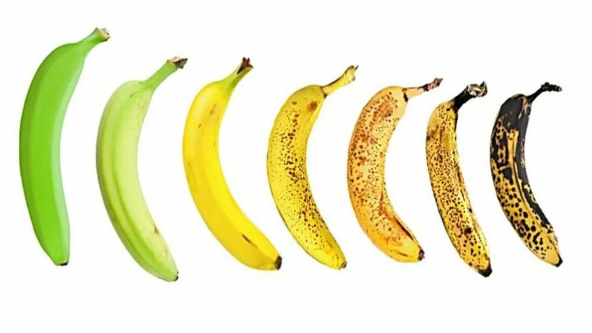 Yung felix banan nado banan