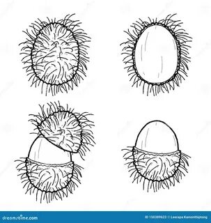 Rambutan fz шаблон кому лень писать