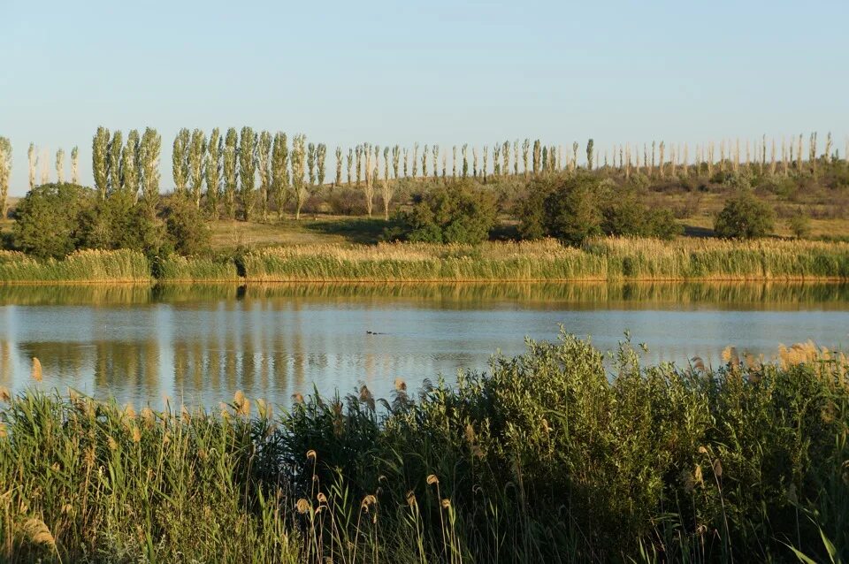 Водоемы в степи. Водоемы степи. Пруд в степи. Пруд красная степь. Поселок Степной Омск озеро.