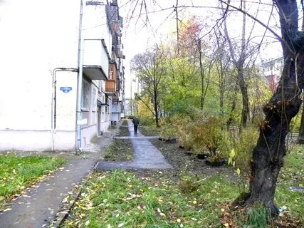 Старцев улица