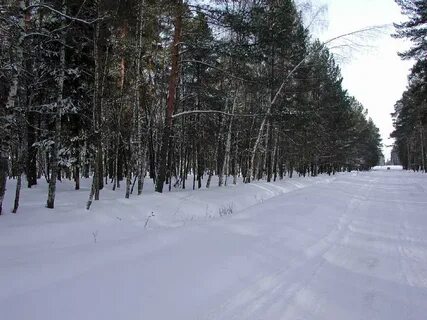 З поляна