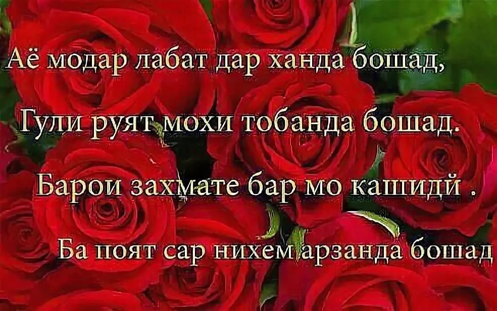 Таб рикнома барои додар. С днём рождения модар. Зодрузи модар табрикнома. Зодруз муборак модарчон. Зодруз муборак модарчон табрикот