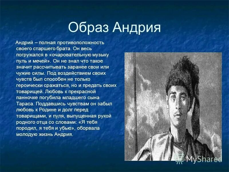 Образ андрея бульбы