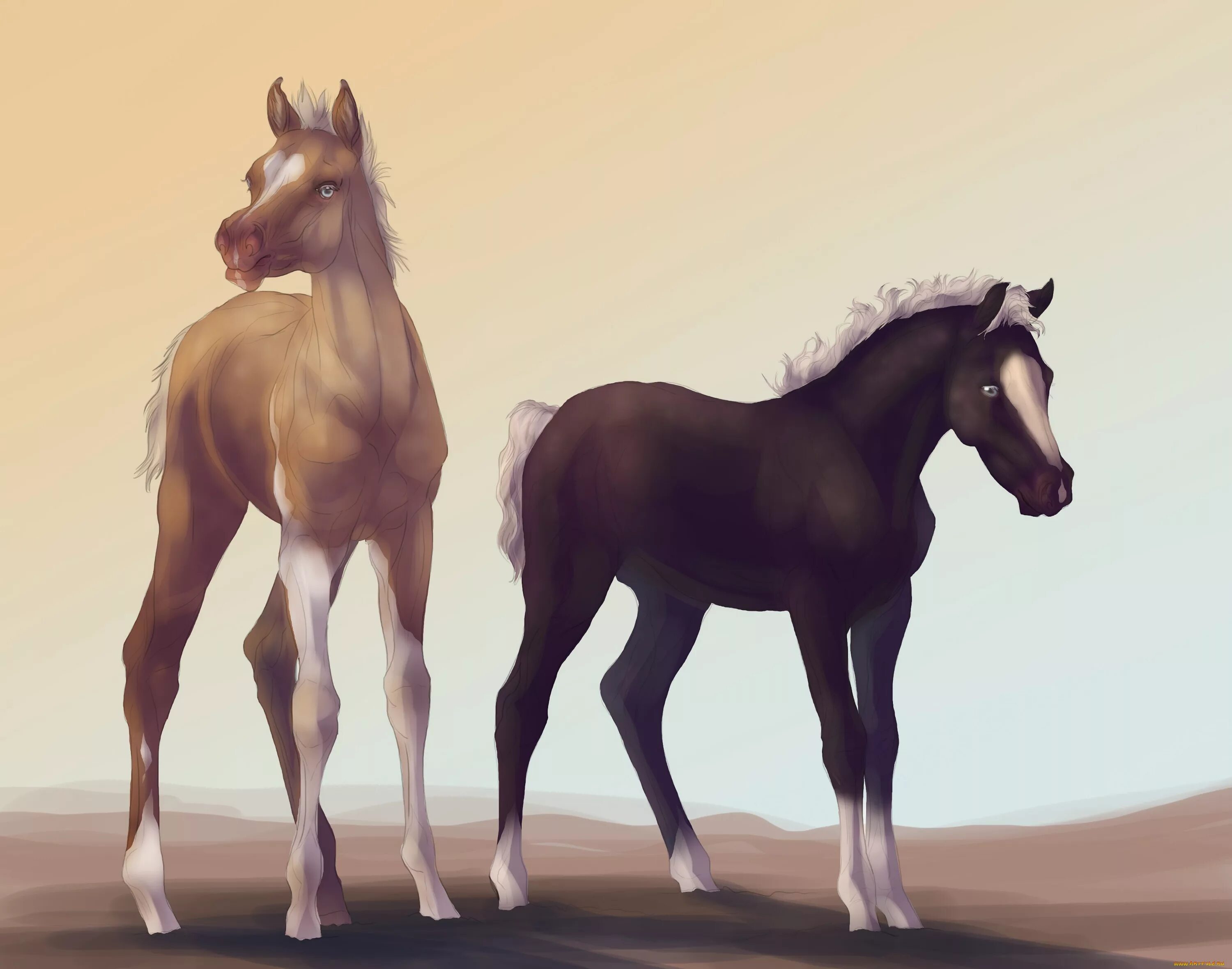 Лошадки. Картинки про лошадь 2014. Стилизация животных лошадь. Картинки животные лошади.