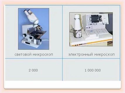 Почему световой микроскоп называют световым