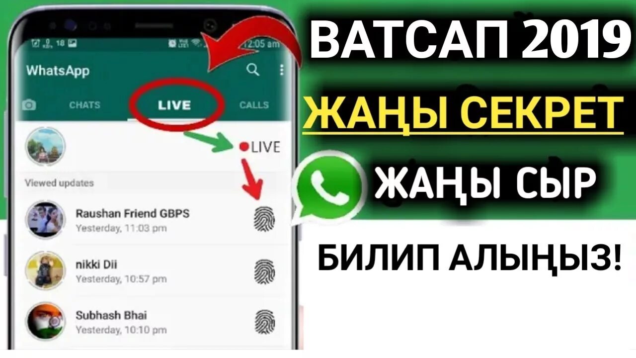 Группа whatsapp. Вацап екатеринбург. Приглашение в группу ватсап. Вацап встречи. Ватсап.