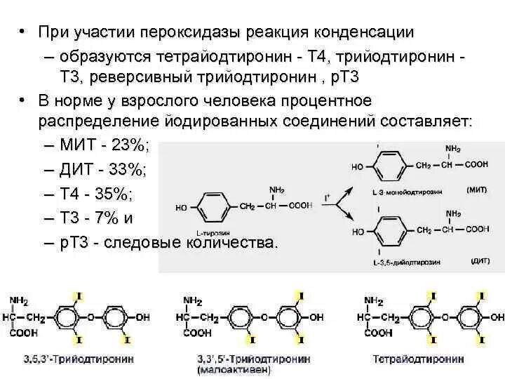 Реверсивный т3 биохимия. Трийодтиронин т3. Формула тироксина и трийодтиронина. Реверсивный трийодтиронин.