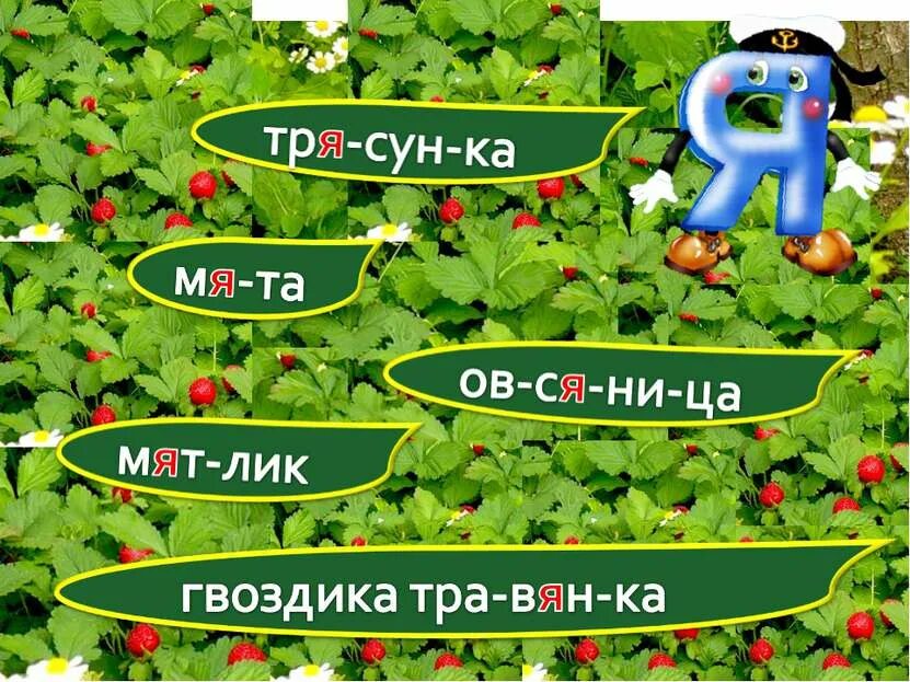 Ря ля. Растения на букву я. Буква я Ярославль.