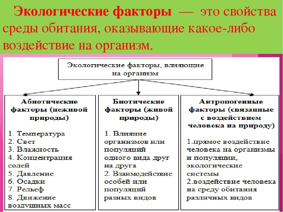 Среды обитания и экологические факторы тест