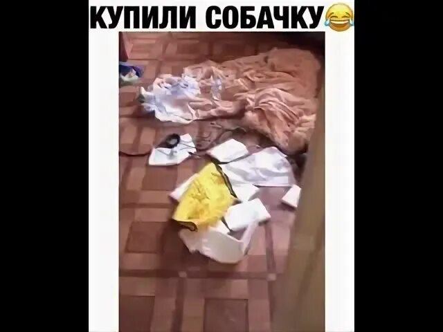 Заведем собачку видео