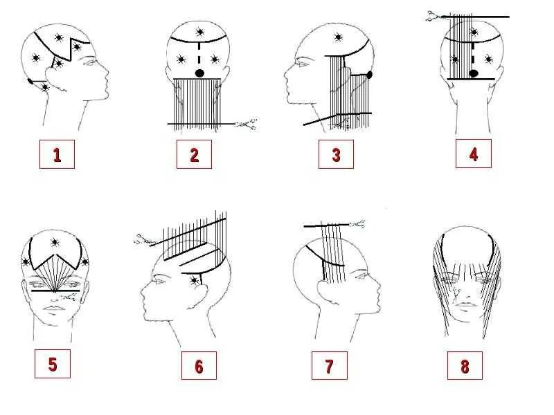 Боб каре схема. Стрижка Боб каре схема выполнения стрижки. Боб-Гарсон стрижка схема. Схема стрижки градуированное каре на короткие волосы. Технология стрижки Боб Гарсон.