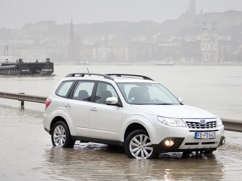 Субару Форестер 2011. Субару Forester 2011. Subaru Forester 2011 года. Субару Форестер 2012 белый. Субару форестер 2012 купить