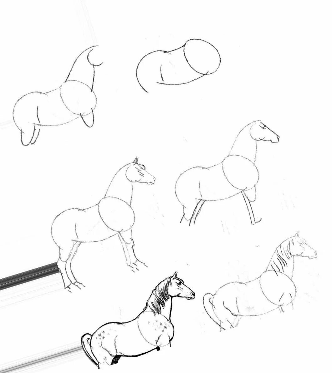 Рисование лошади. Рисование лошади поэтапно. Рисунки лошади карандашом для начинающих. Лошадь карандашом для начинающих.