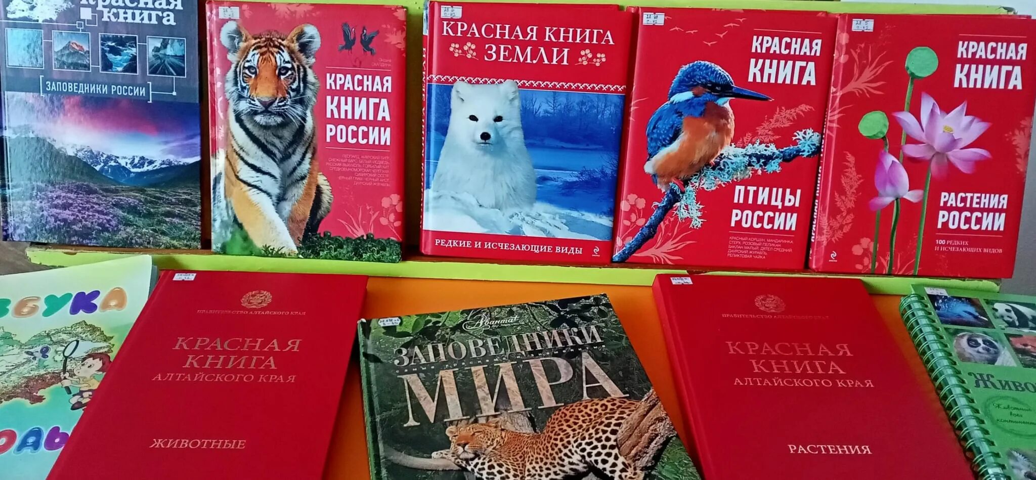 Как выглядит красная книга россии Красная книга России Презентацию подготовила учитель начальных классов Жукова Л.