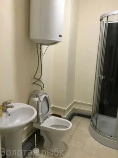 Золотая рыбка владивосток