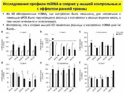 Профиль исследования