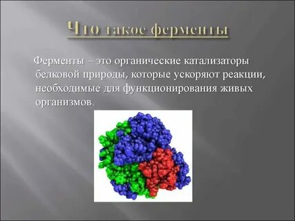 Биологические катализаторы кратко
