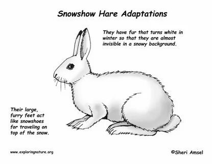 Hare hare песня на русском