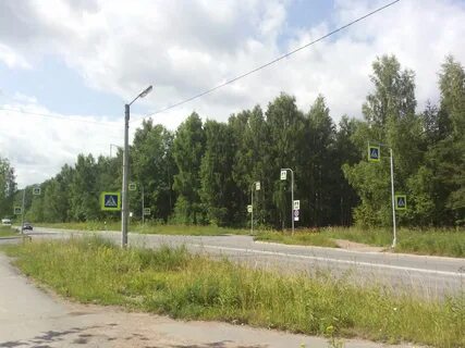 Ул ботаническая санкт петербург