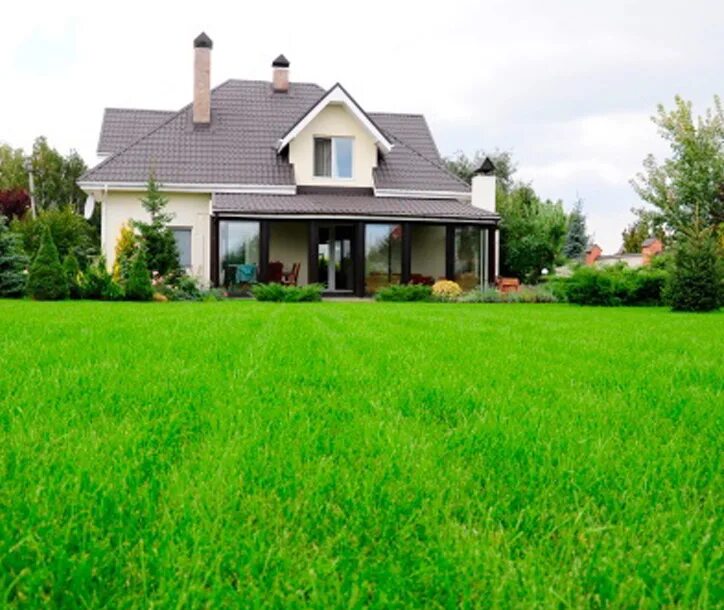 Какой газон лучше для дома. Домик с газоном. Загородный дом лужайка. Коттедж с газоном. Небольшой дом с газоном.