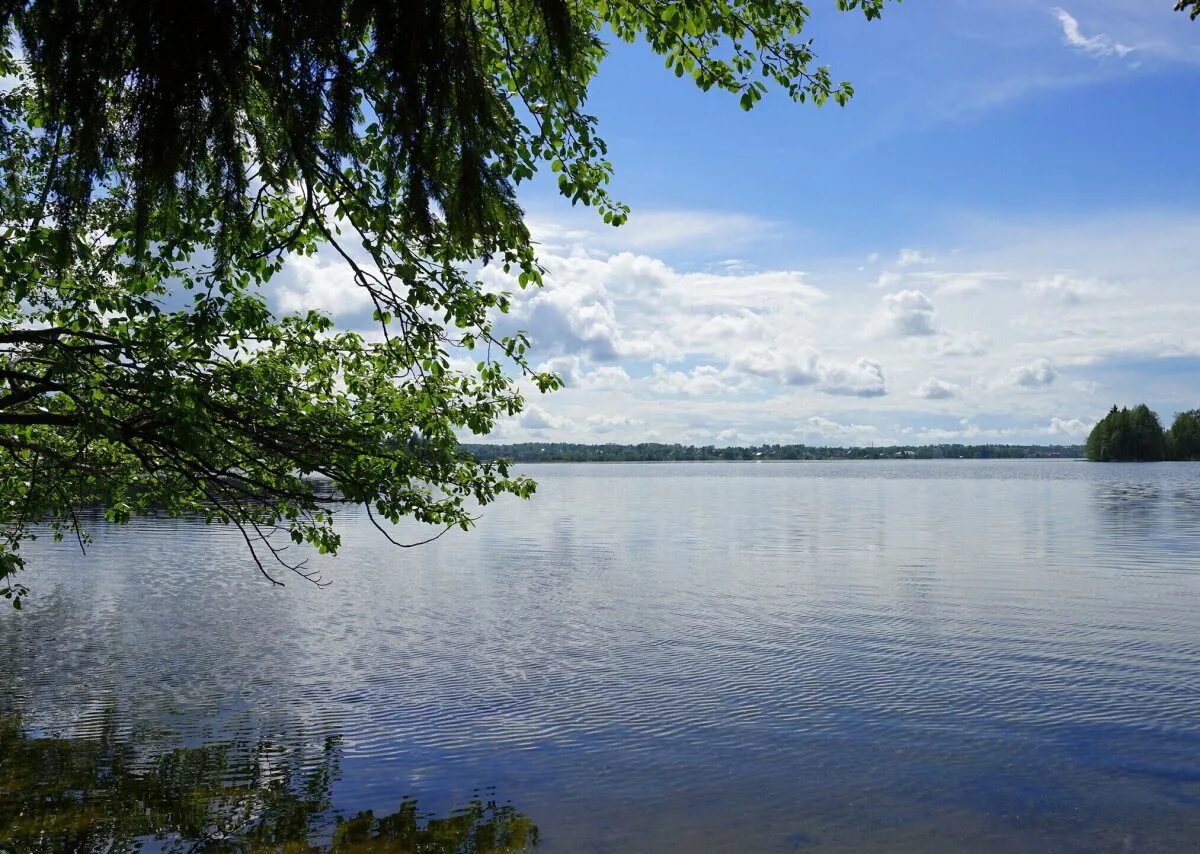 Валдайский заповедник новгородской области. Озеро ильмень парк валдайский. Озеро валдайское новгородская. Озеро ильмень парк валдайский. Валдайский национальный парк озеро находно.