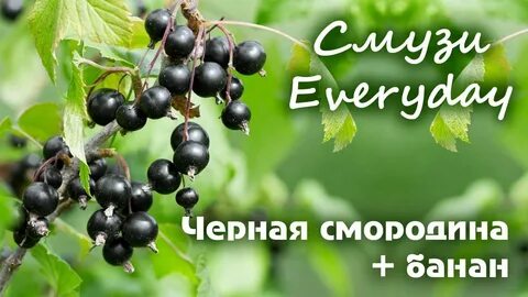 Смородина банан