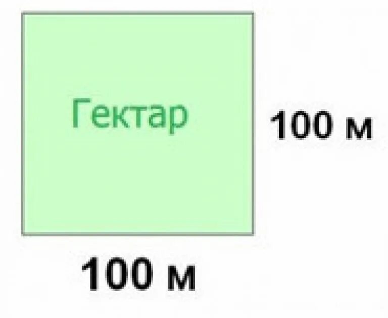 Измерение соток. 1 Гектар земли это сколько соток земли. 100 Соток в метрах квадратных. Сколько в гитаре сотак. Гектар это 100 на 100 метров.