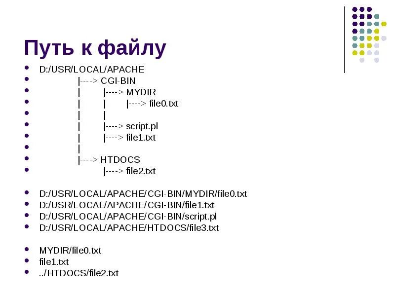 24 s1 txt. Cgi-bin. Cgi-bin папка для чего. Таблица 1 формы 0503760 какой номер файла тхт. Htdocs text.