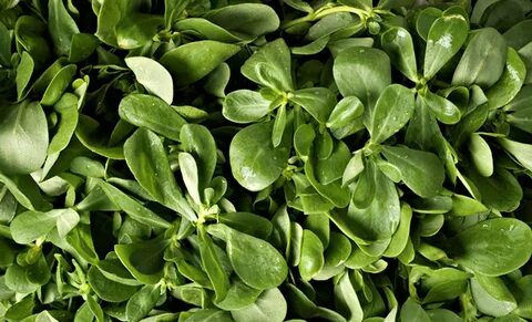 Ayollar pantyhose porno fotosuratlarini tomosha qiling