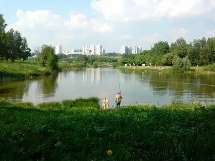 Битца московская обл