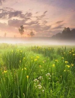 Прекрасного утра природа картинки