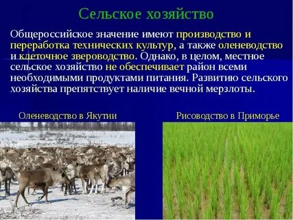 Жизнь и хозяйственная деятельность дальнего востока