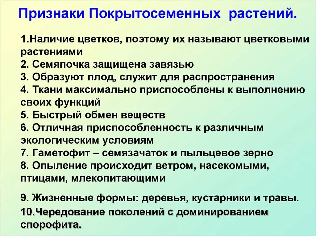 Отдел Покрытосеменные растения общая характеристика. Основные признаки покрытосеменных растений 6 класс биология. Назвать характерные признаки покрытосеменных. Основные признаки цветковых растений 5 класс. 5 основных признаков растений