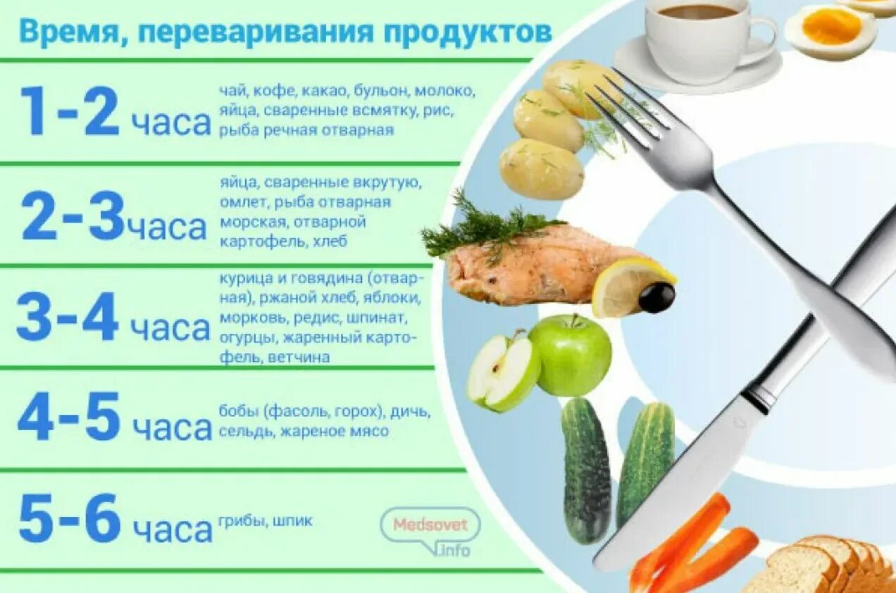 Сколько минут должен есть. Таблица времени переваривания продуктов в желудке. Сколько переваривается пища в организме человека таблица. Сколько переваривается пища в желудке. Сколько времени переваривается пища.