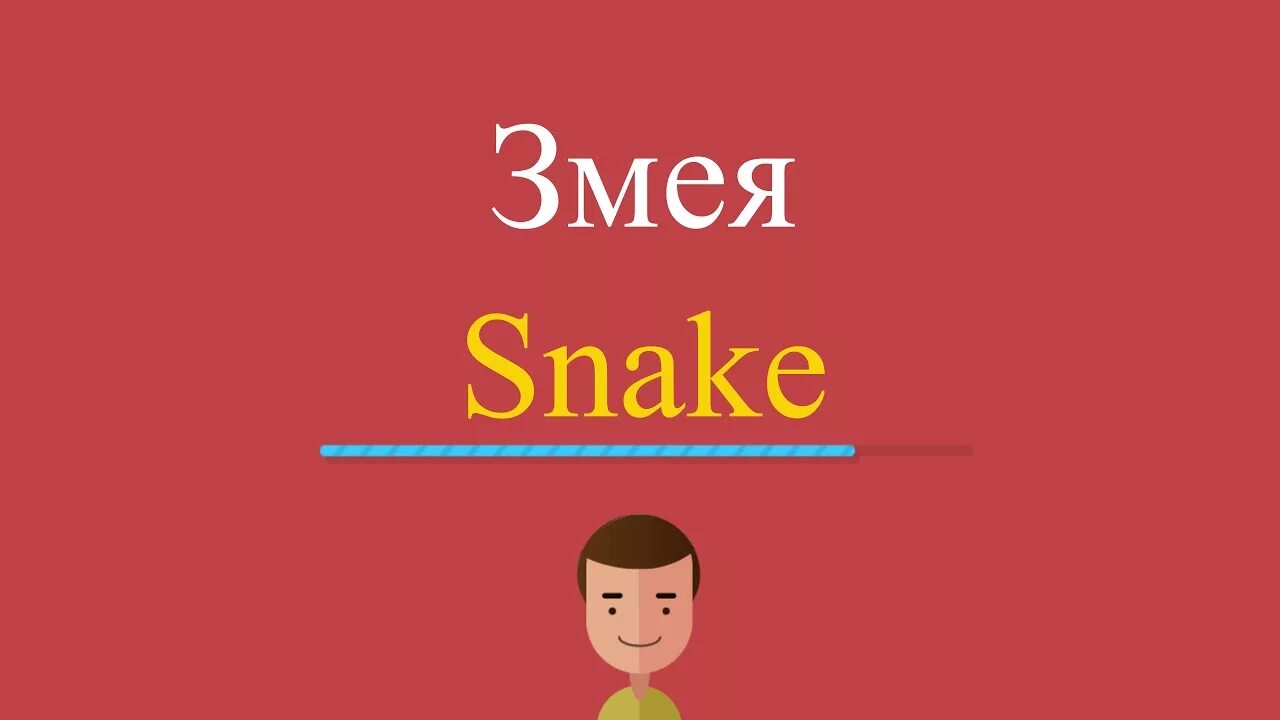 Змея по английски. Змея по англ с транскрипцией. Как по английски змей. Snake перевод на русский.