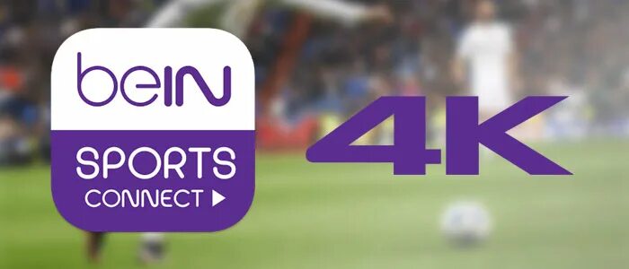 Bein Sports блоггер. Bein Волгоград. Bein Sport Bundle. Bein Sports Live Matches today. Live 4 sport