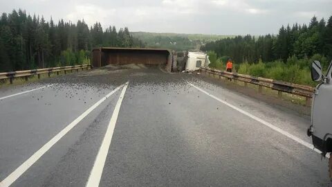 Дорога недельное