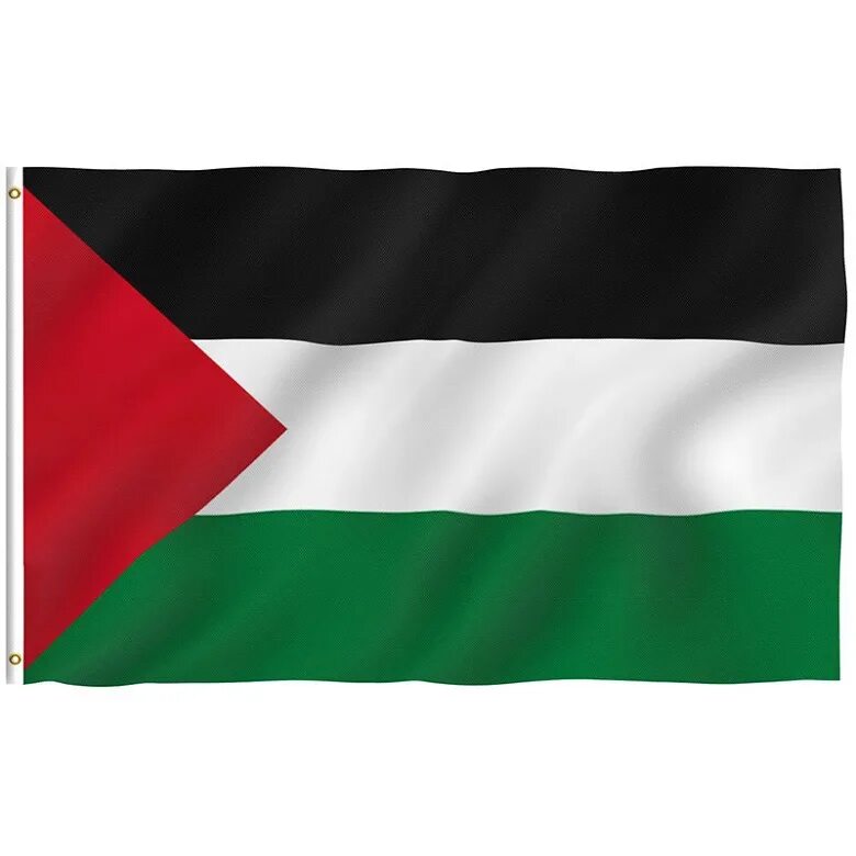Как выглядит флаг палестины. Флаг uae. флаг объединённых арабских эмиратов. флаг палестины. палестинский флагфлаг.