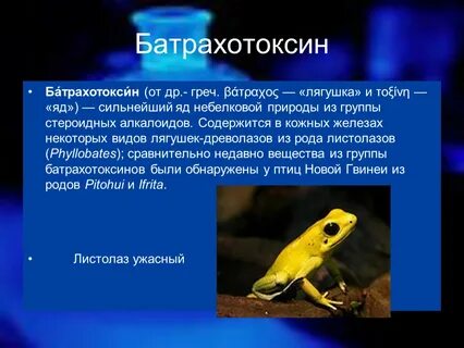 Яд содержится